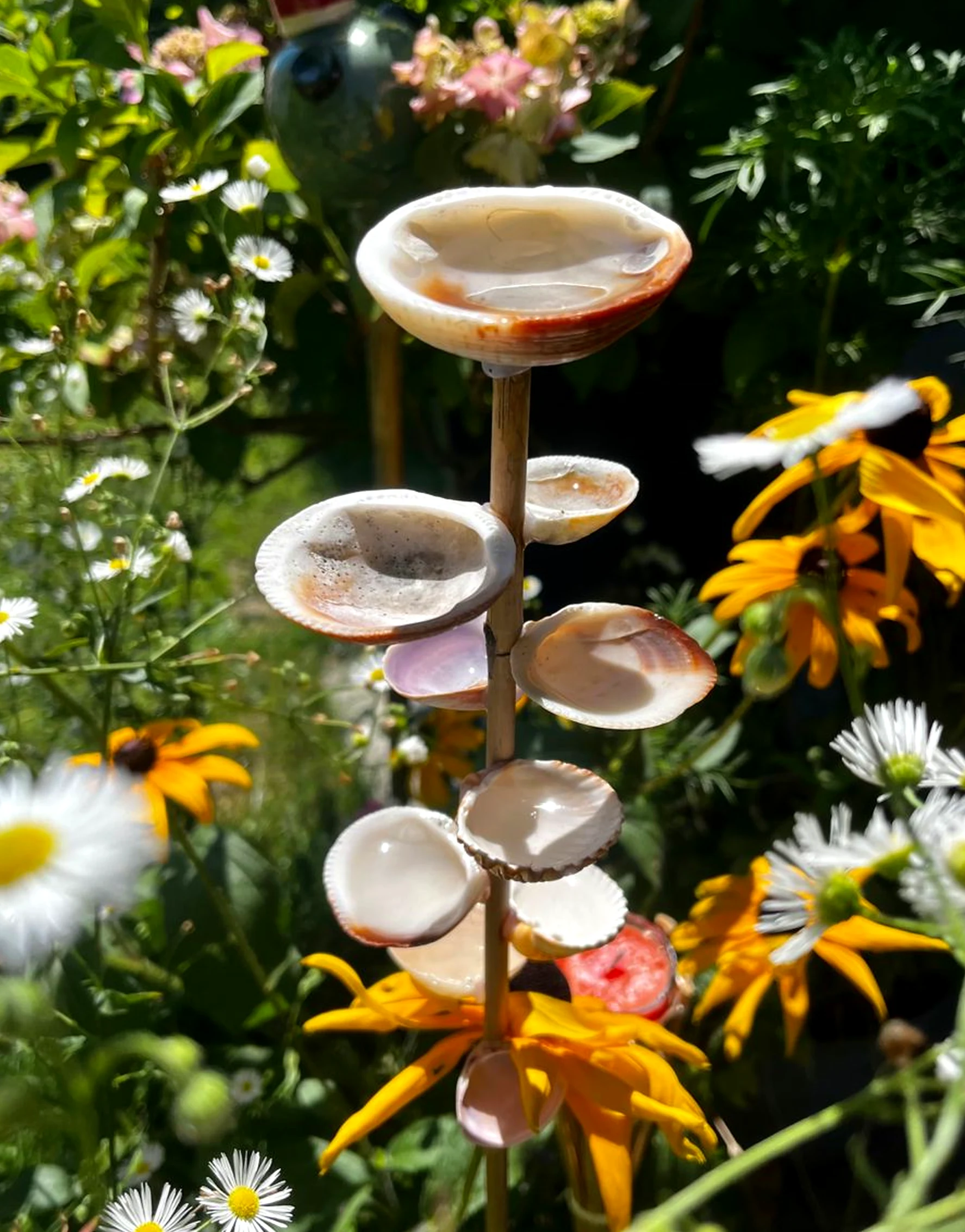 Warm garden border brings focus to the design, creating a mood that feels clear and inviting.