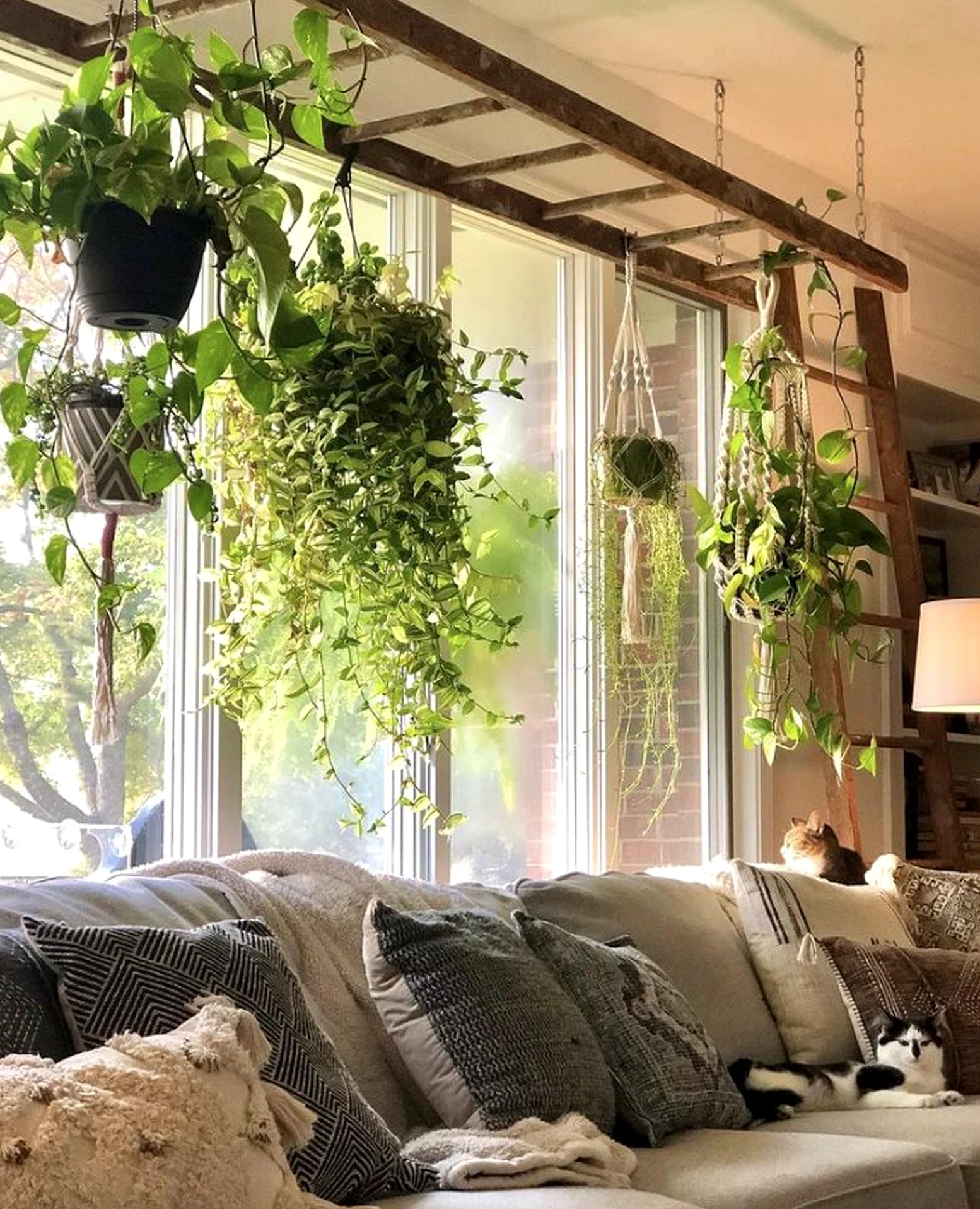 Earthy window seat gives the sitting area more balance, so the whole view feels pleasantly composed.