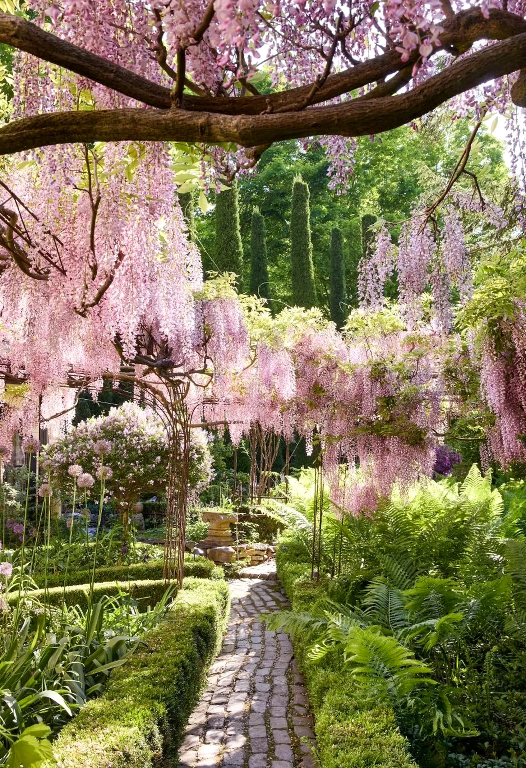 Leafy floral bed anchors the garden edge with detail, giving the view a mood that feels clear and inviting.