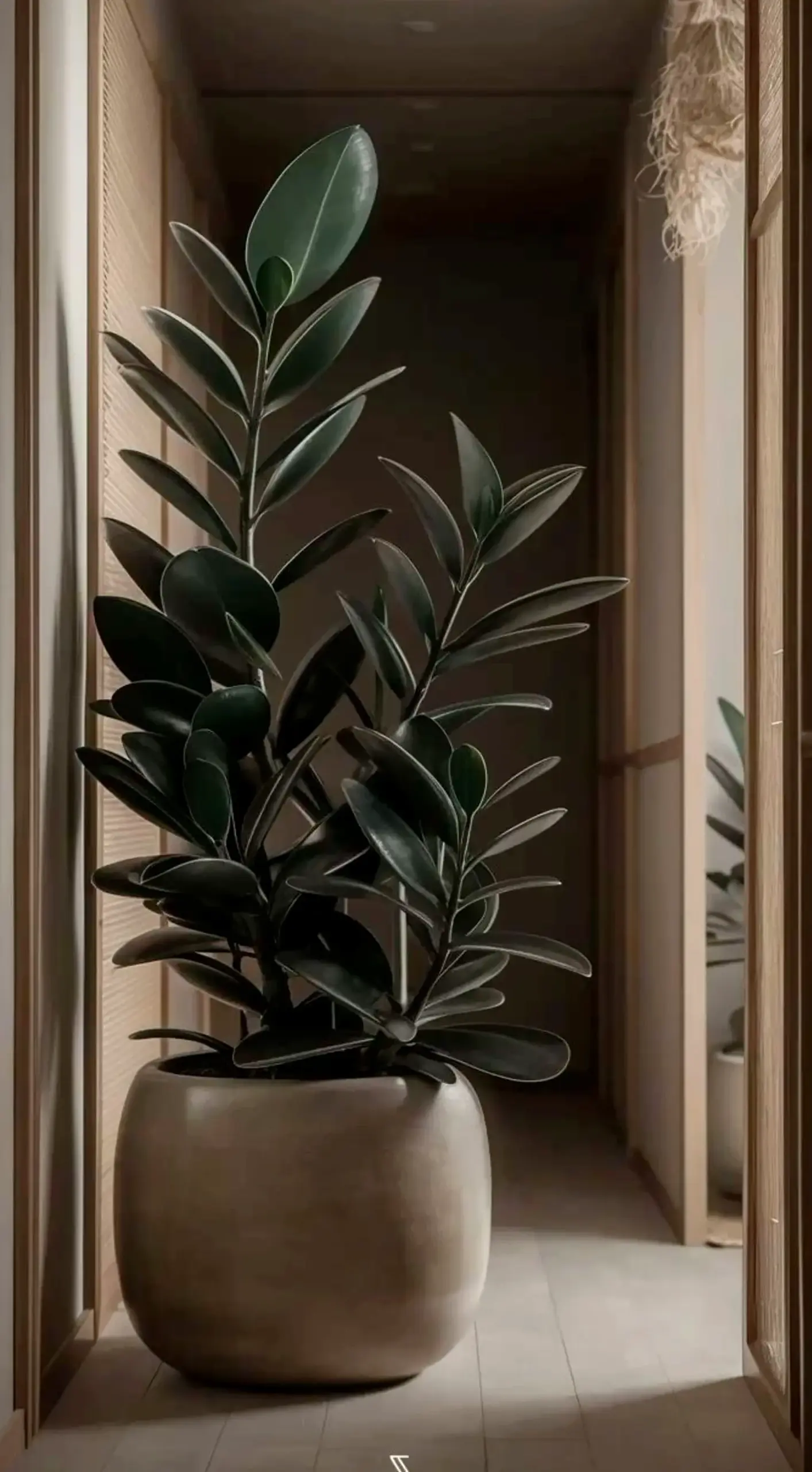 Warm dining setup brings a useful note of light, making the wall feel quietly finished.