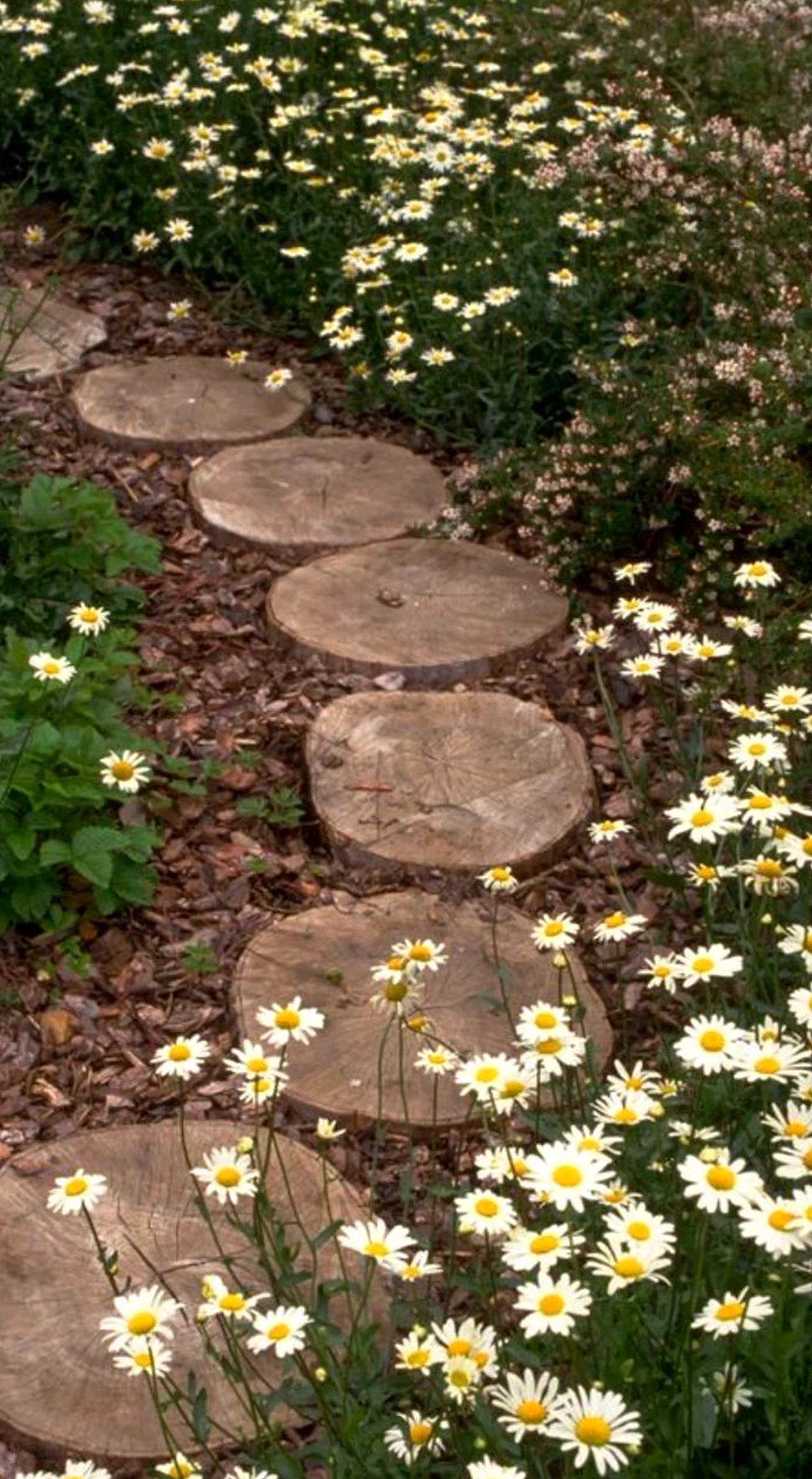 Balanced bathroom vanity gives the view more order, so the whole view feels soft at the edges.