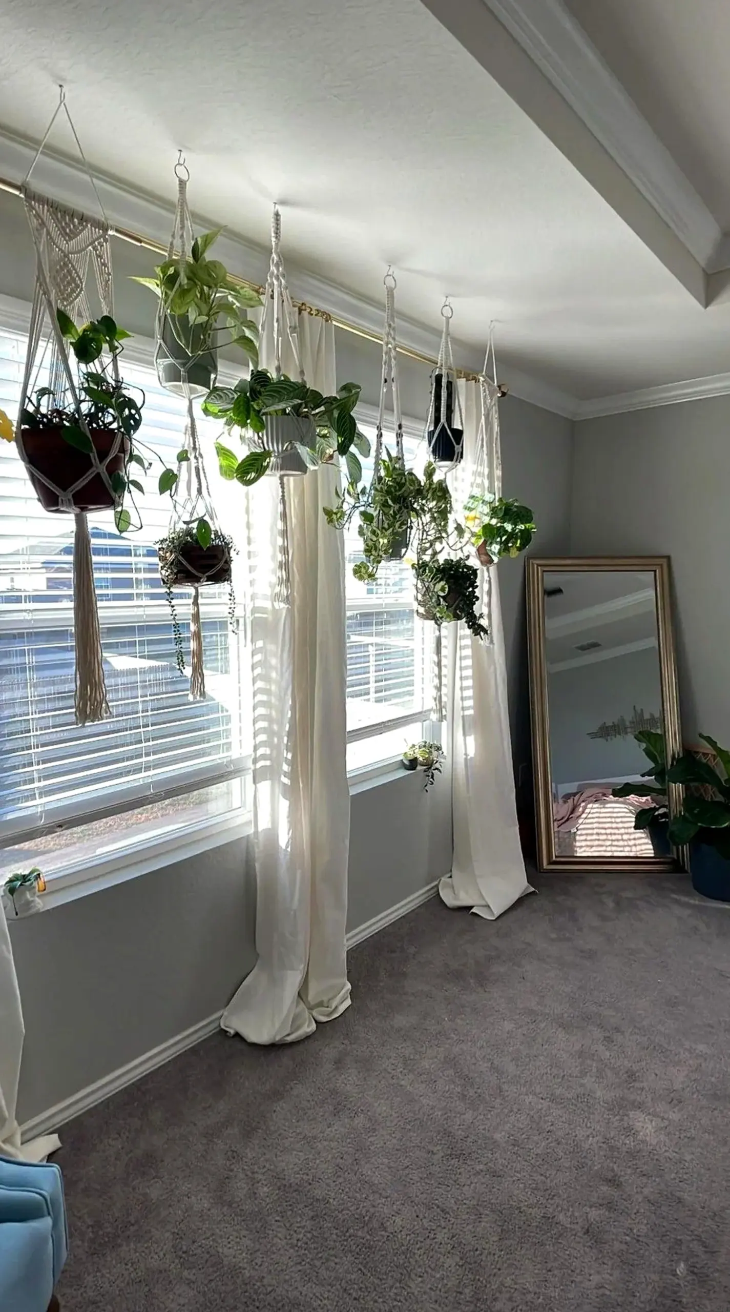 Sculptural plant shelf frames the backdrop with clarity, making the scene feel quietly finished.